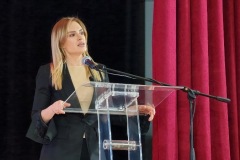 академија-10