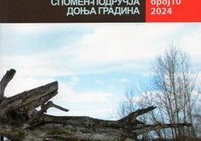 Топола-10
