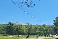 костајниоца-6