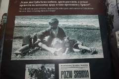 subotica4
